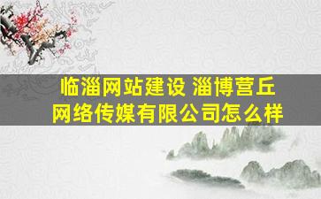 临淄网站建设 淄博营丘网络传媒有限*怎么样